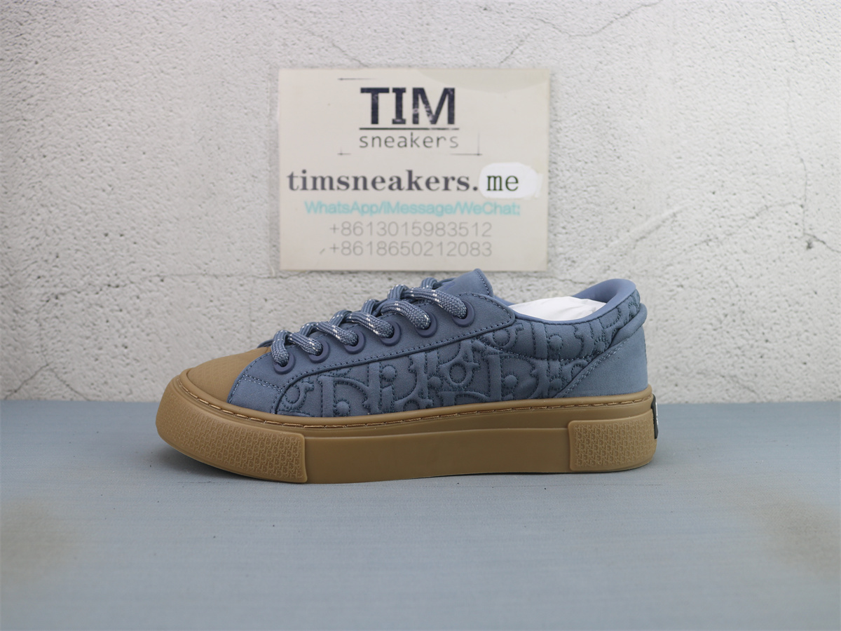 Stone Island X DIOR B33 Skateboard Shoes Men Low-Top Blue